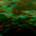 Bokeh-508